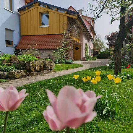 Ferienwohnung Wiesenhof 诺伊霍夫安德泽恩 外观 照片