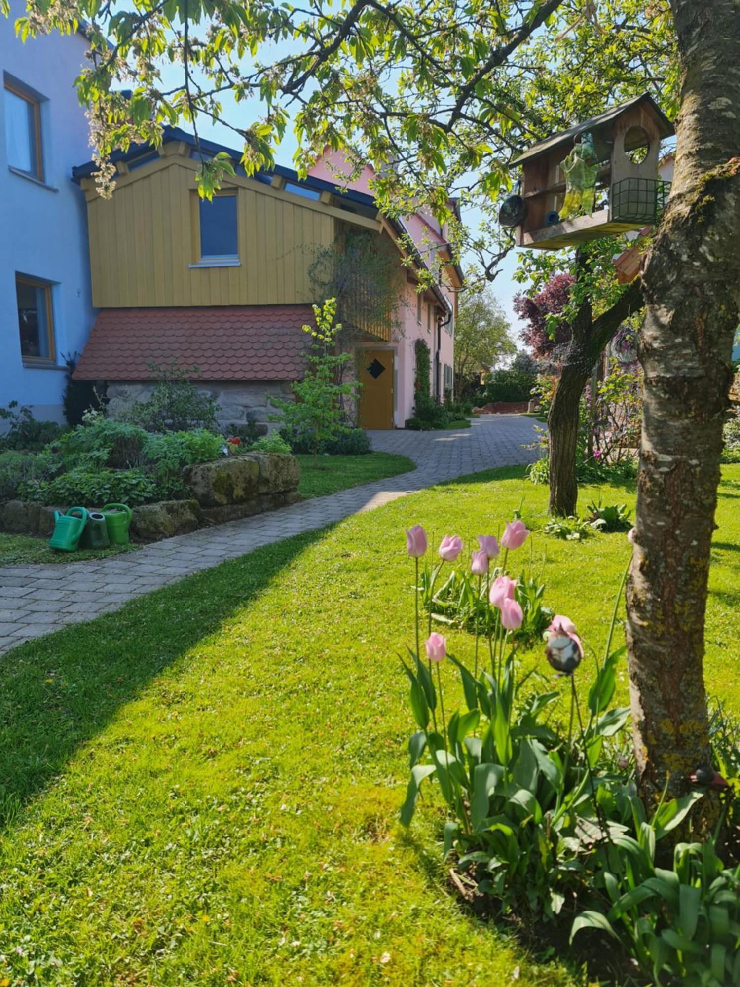 Ferienwohnung Wiesenhof 诺伊霍夫安德泽恩 外观 照片